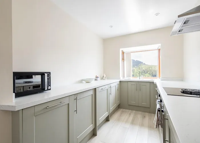 Host & - The Willows *